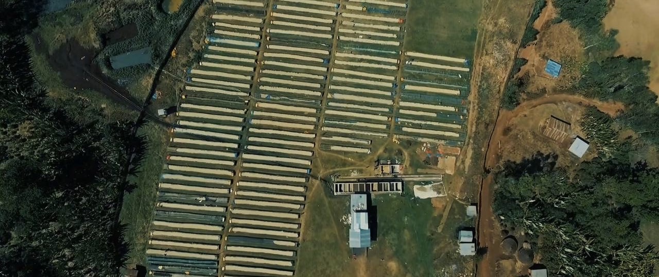 Ethiopian coffee drying beds export